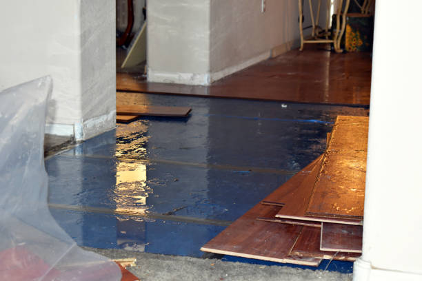 Professional Emergency Water Damage Restoration technician working in Colchester, CT