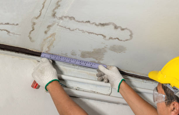 Reliable Emergency Water Damage Restoration contractor in Colchester, CT by Water Damage Irwin